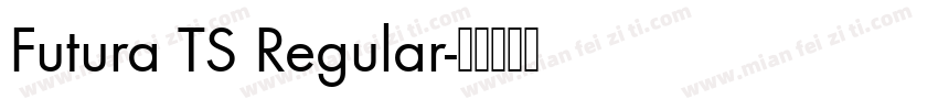 Futura TS Regular字体转换